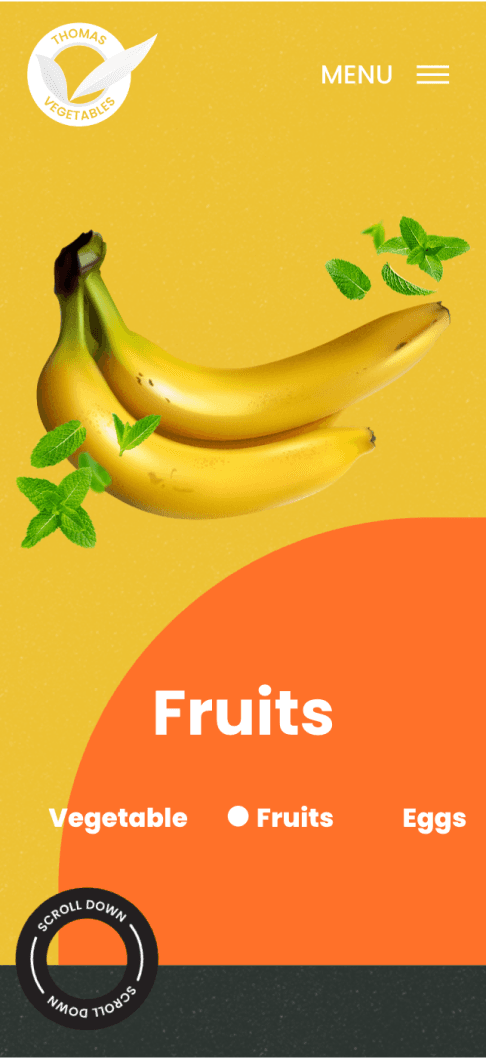 Mobile Mockup